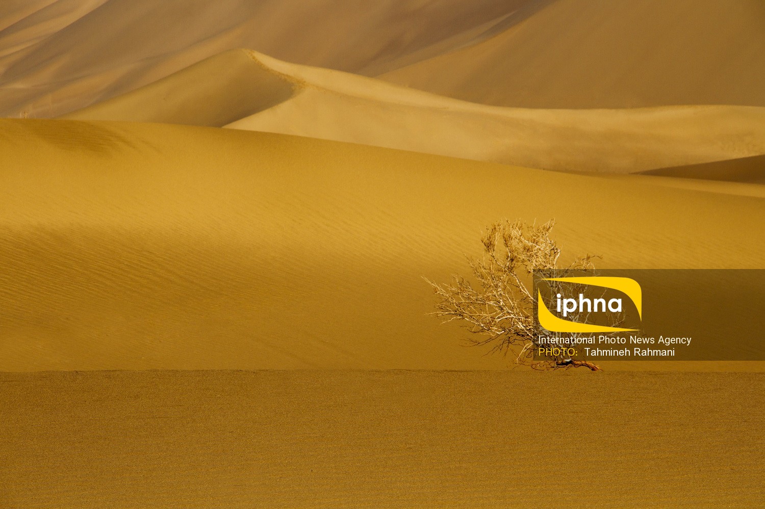 First slide